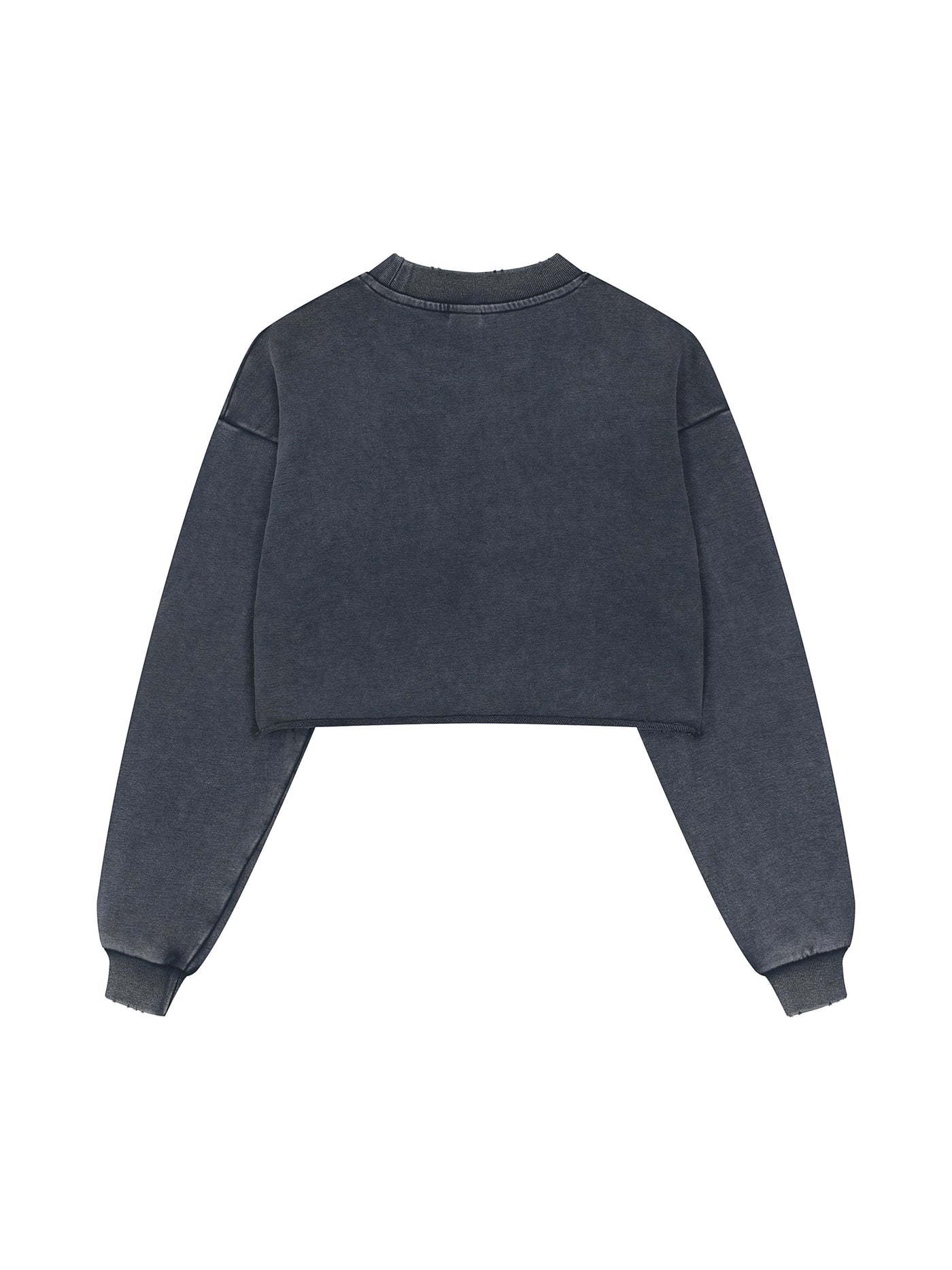 Gamer Fresh | Phantom Pixels: Byte Static | Snow Washed Raw Edge Cropped Sweatshirt | Limited Edition