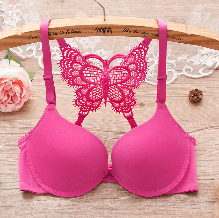 Lady's Butterfly Lace Adjustable Glossy Cosplay Lingerie Bra